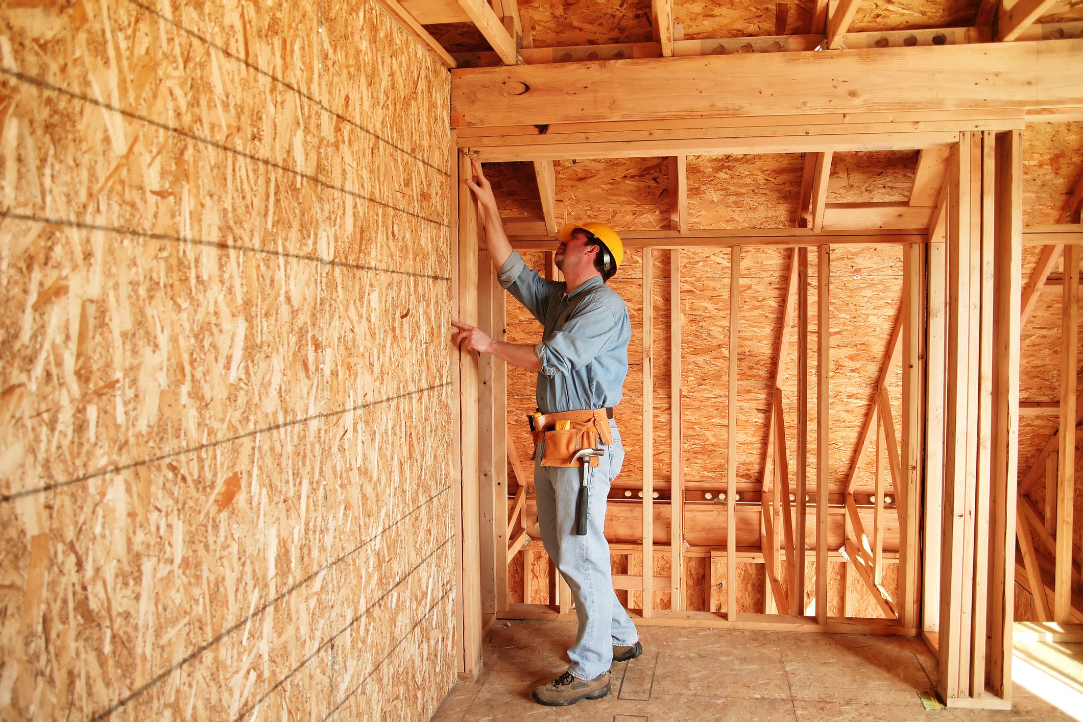 Construction worker installing plywood wall panel.